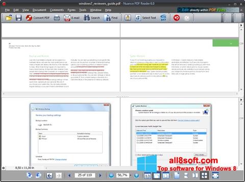 Ekraanipilt Nuance PDF Reader Windows 8