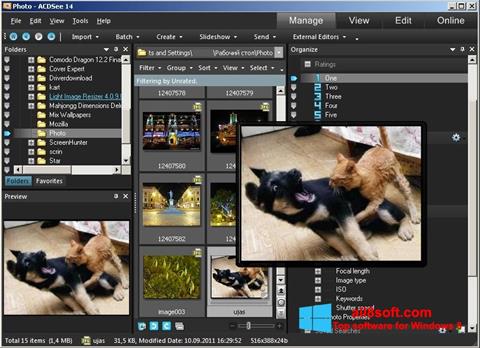 Ekraanipilt ACDSee Photo Manager Windows 8