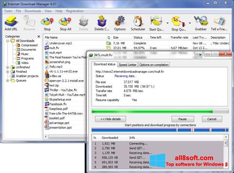 Ekraanipilt Internet Download Manager Windows 8