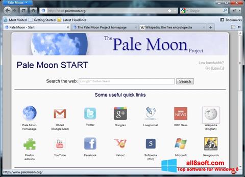 Ekraanipilt Pale Moon Windows 8