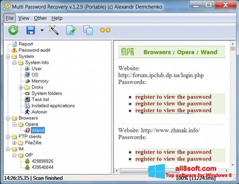 Ekraanipilt Multi Password Recovery Windows 8