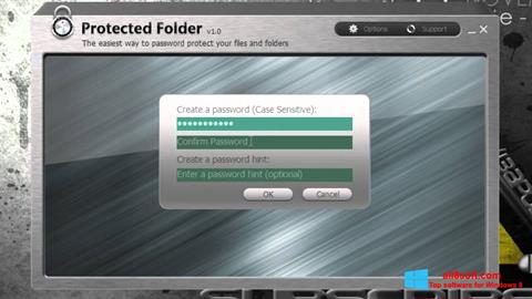 Ekraanipilt Protected Folder Windows 8