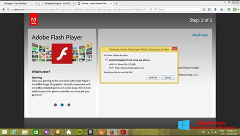 Ekraanipilt Adobe Flash Player Windows 8