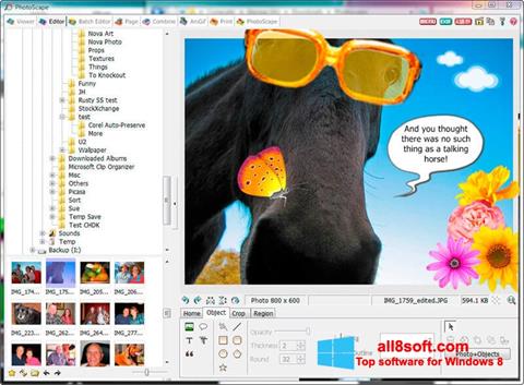 Ekraanipilt PhotoScape Windows 8