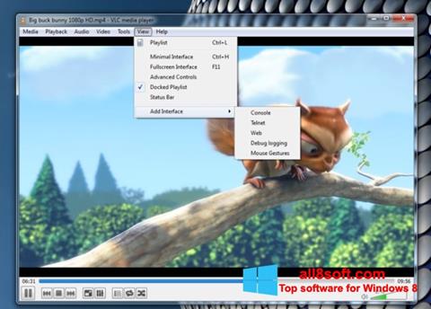 Ekraanipilt VLC Media Player Windows 8